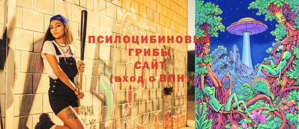 прущие крисы Россошь