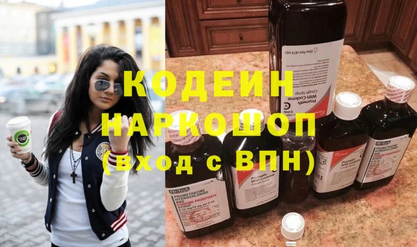 PSILOCYBIN Рославль