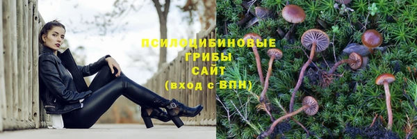 прущие крисы Россошь