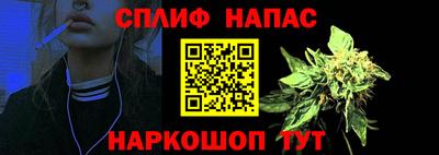 сатива Абакан