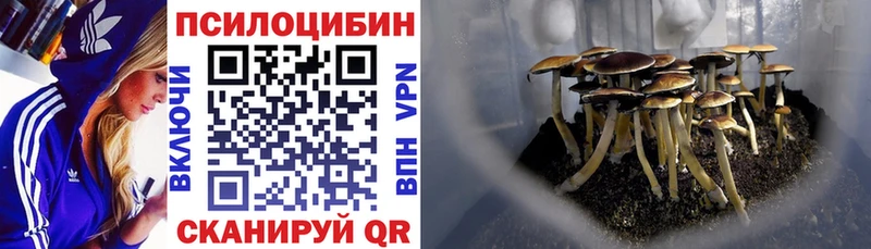 Псилоцибиновые грибы мухоморы  omg как зайти  Тихвин  где купить наркотик 