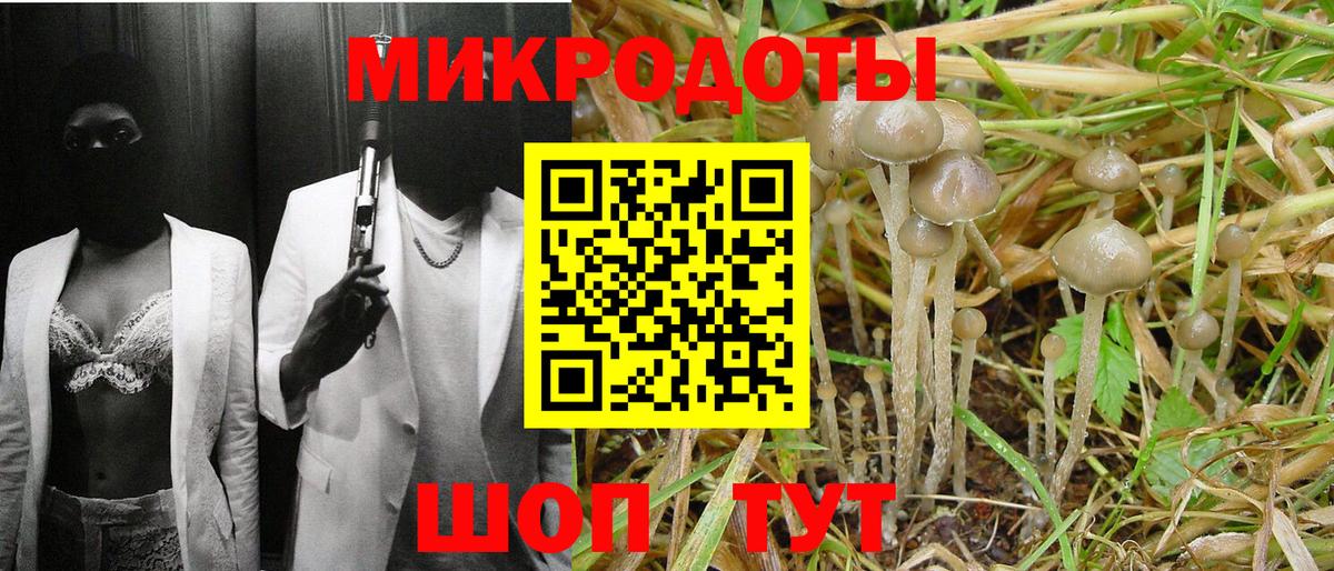 Псилоцибиновые грибы MAGIC MUSHROOMS Тихвин