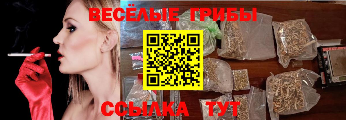 Галлюциногенные грибы ЛСД Тихвин