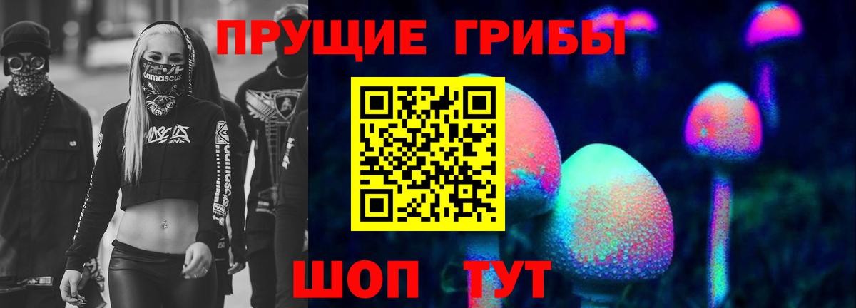Тихвин  Псилоцибиновые грибы мицелий  купить наркотик  Вход с VPN 
